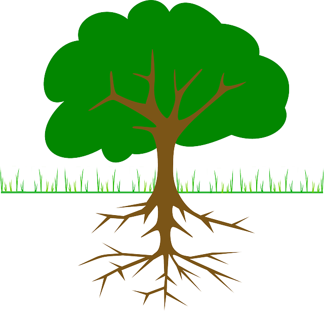 Tree Clip Art - Png Download (640x613), Png Download