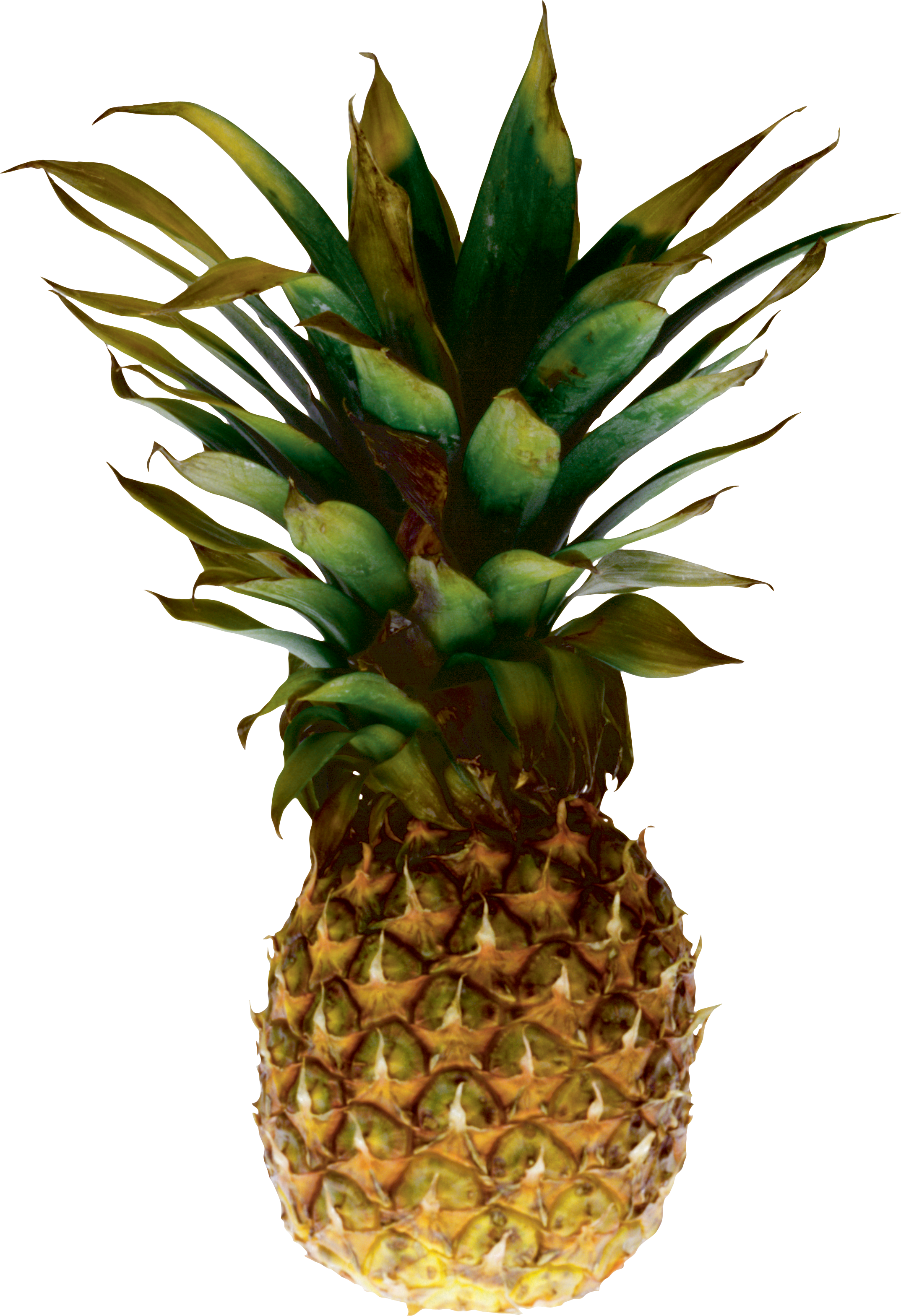 Download - Transparent Pineapple Clipart (2148x3138), Png Download