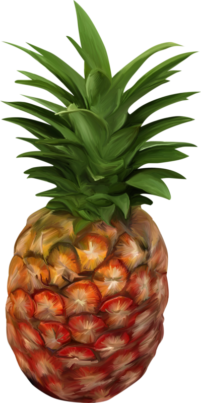 Pineapple Clipart Fruits And Vegetable - Pineapple Meme - Png Download (399x800), Png Download