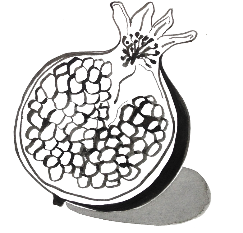 Pomegranate Clipart Outline - Gaby Serra