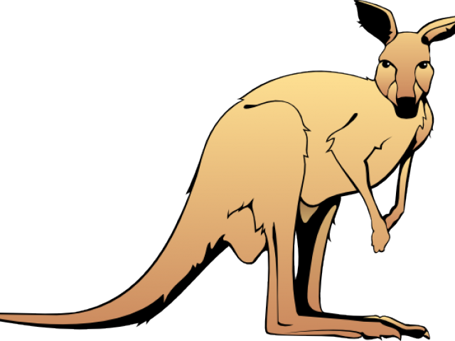 Kangaroo Clipart Kanagroo - Kangaroo Clip Art - Png Download (640x480), Png Download