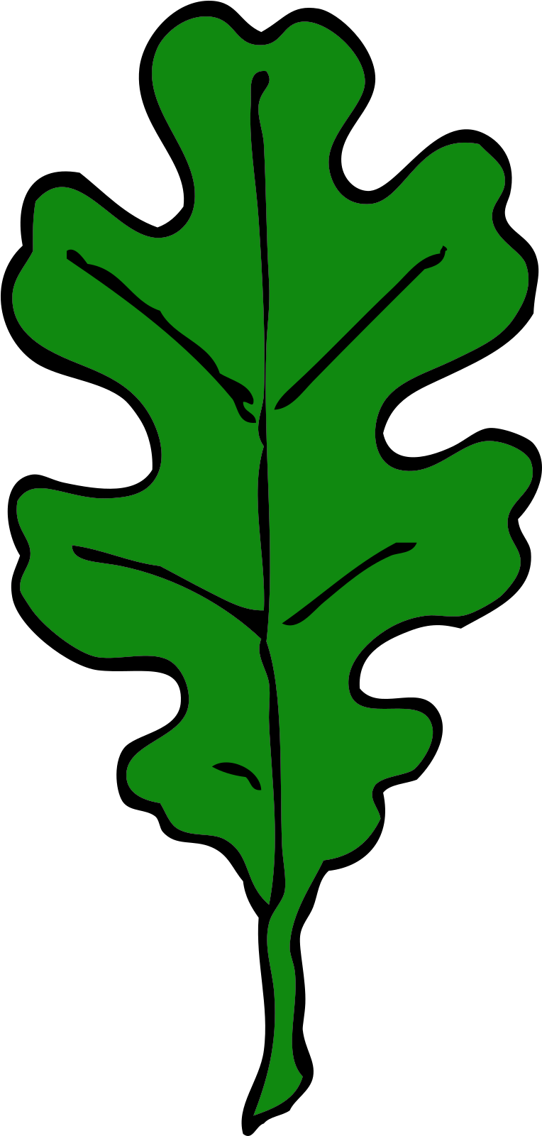 Forest, Oak Leaf, Green, Leaf, Tree, Leaves, Oak - Red Oak Leaf Clip Art - Png Download (640x1280), Png Download