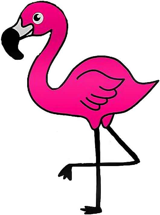 Report Abuse - Flamingo Clip Art Transparent - Png Download (530x712), Png Download