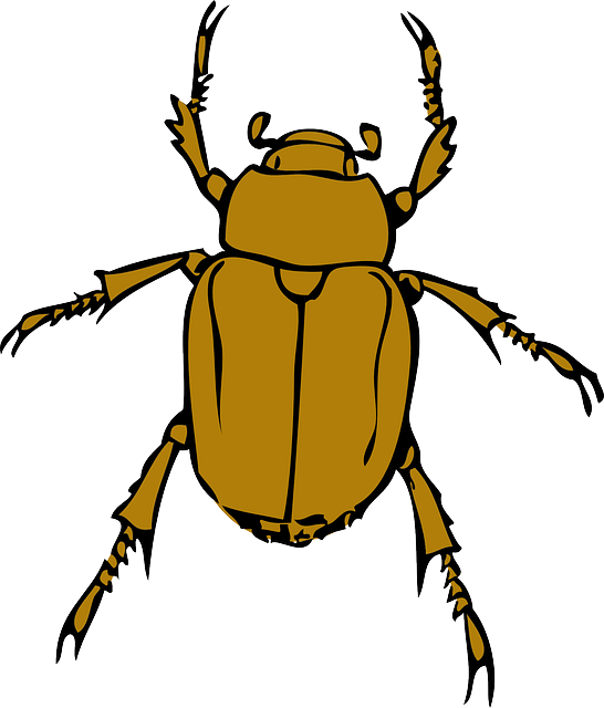 Cartoon, Bugs, Bug, Insect, Animal, Beetle, Insects - Beetle Clipart - Png Download (546x640), Png Download