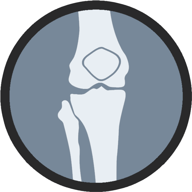 Knee Anatomy - Cartoon Royal Baby Clipart (635x635), Png Download