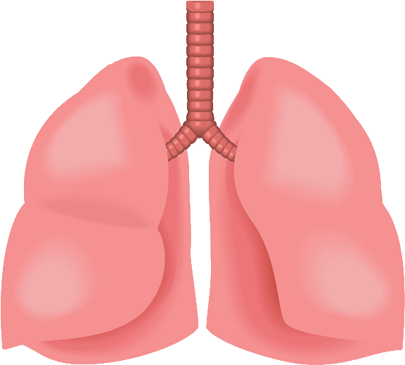 Emergency Medicine Residents' Association Clipart (690x516), Png Download