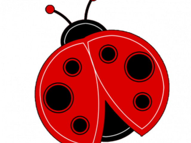 Insect Clipart Transparent Background - Clip Art Transparent Background Ladybug - Png Download (640x480), Png Download