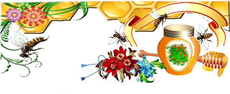 Сообщение Лиола - Floral Design Clipart (800x400), Png Download