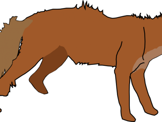 Arctic Wolf Clipart Animated - Red Fox Shower Curtain - Png Download (640x480), Png Download