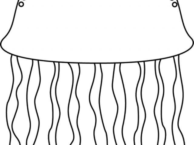 Jellyfish Clipart Cnidarians - Clip Art - Png Download (640x480), Png Download