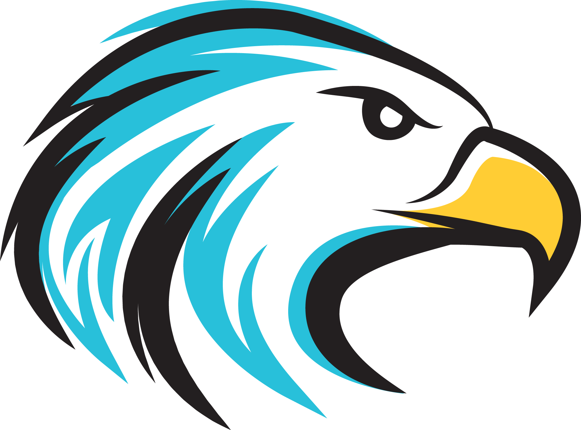 Open Enrollment Underway - Hawkeye Bird Png Clipart (2000x1481), Png Download