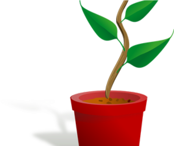 Potted Plants Clipart 3 Leaf - Getting To Know Plants - Png Download (640x480), Png Download