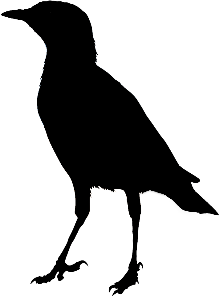 Trout Silhouette - Clip Art - Png Download (876x1108), Png Download