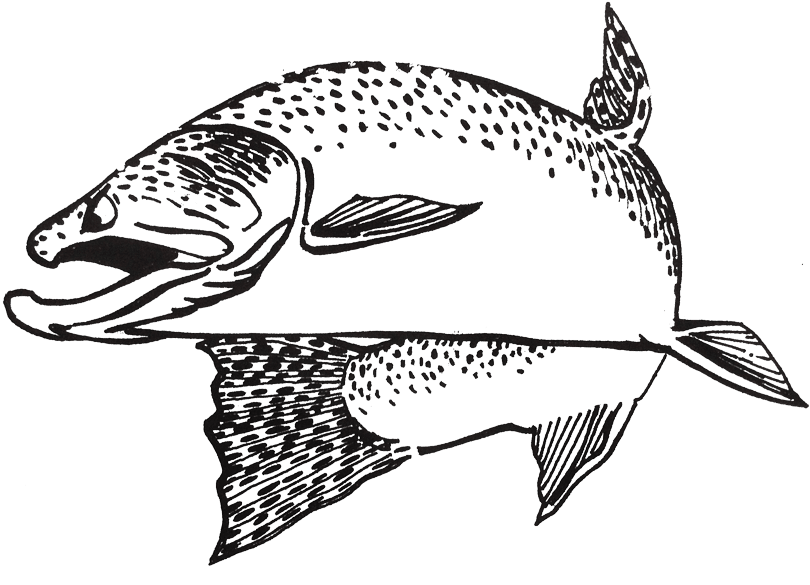 Boffing Jr - Oregon Clipart (837x600), Png Download