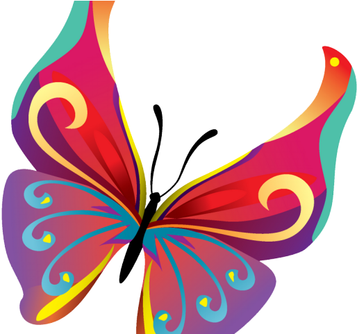 Minnesota Timberwolves Clipart Butterfly - Cartoon Picture Of Butterfly - Png Download (640x480), Png Download