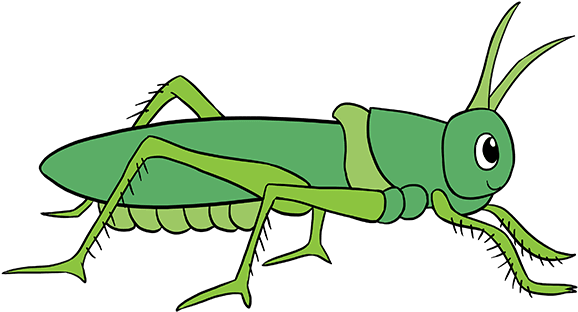 How To Draw Grasshopper - Easy Way To Draw Grasshopper Clipart (680x678), Png Download