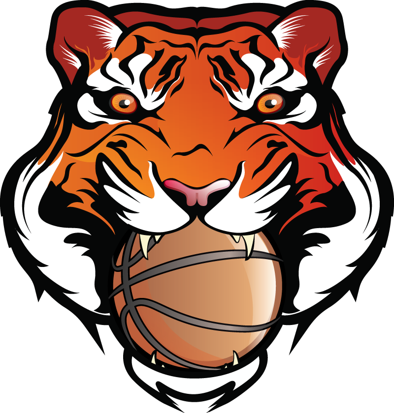 Bengal Spef Camps - Tigers Basketball Clip Art - Png Download (800x840), Png Download