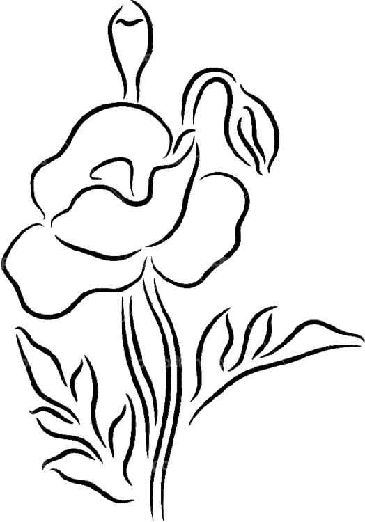 Photography Illustration Stick Figure - Мак Контур Clipart (524x750), Png Download