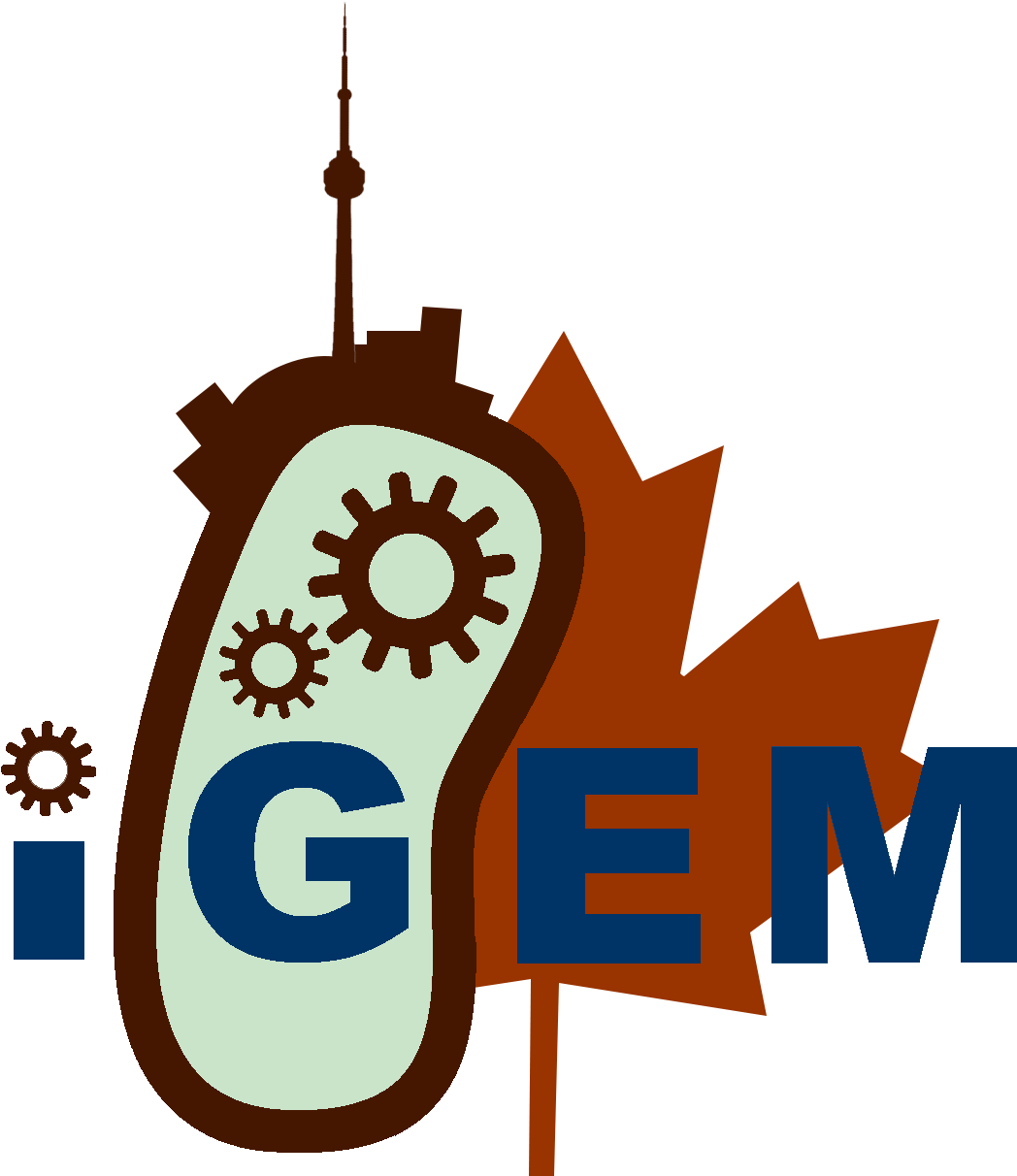 Page - International Genetically Engineered Machine Clipart (1115x1230), Png Download