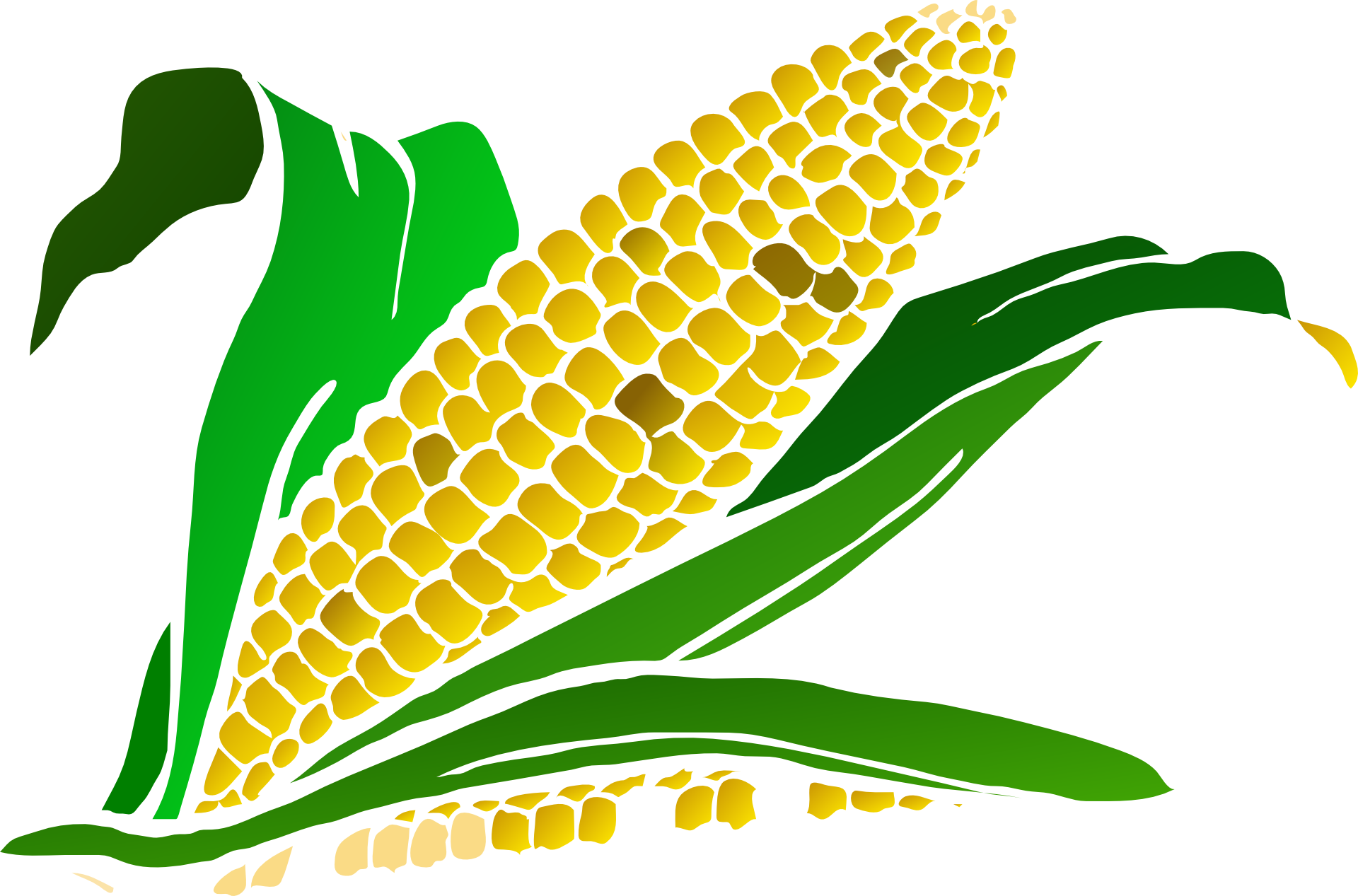 Monsanto Just Got The First Crispr License To Modify - Corn Clip Art Png Transparent Png (1920x1267), Png Download