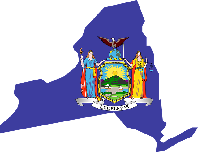 Governor Cuomo Issues Zero Tolerance Policy For Insurers - New York Flag Map Clipart (640x493), Png Download
