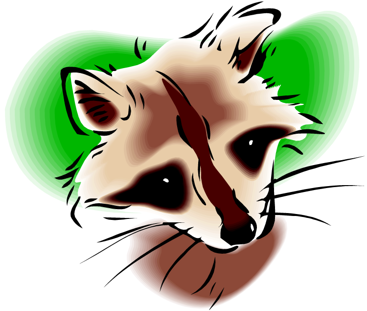 Raccoon - Clip Art - Png Download (750x635), Png Download