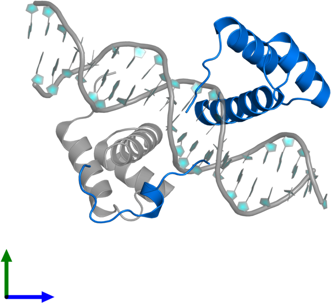 <div Class='caption-body'>pdb Entry 2r5z Contains 1 - Illustration Clipart (800x800), Png Download