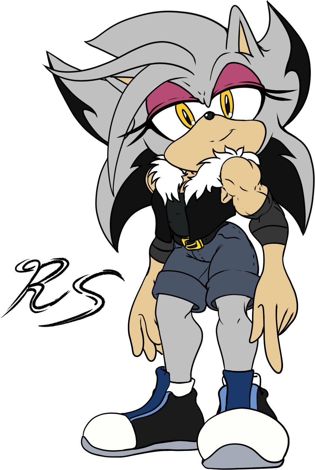 Cynn The Hedgehog By Raccoonshinobi - Art Clipart (1200x1800), Png Download