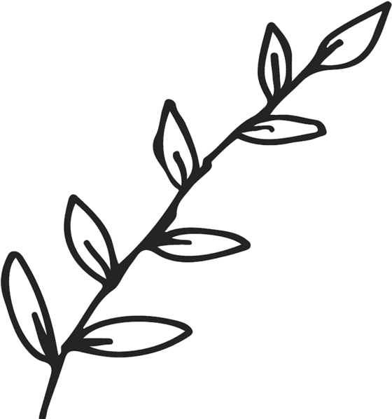 Branch With Leaves Outline Rubber Stamp - Leaves Outline Clipart (600x600), Png Download