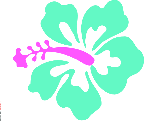 How To Set Use Coral Hibiscus Clipart - Png Download (600x513), Png Download