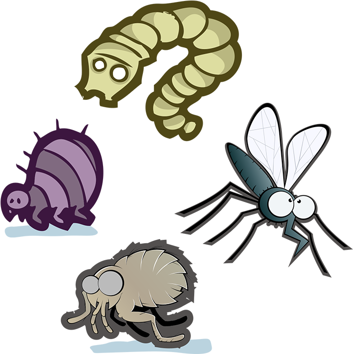 Parasite Control - Parasitism Clipart (800x800), Png Download