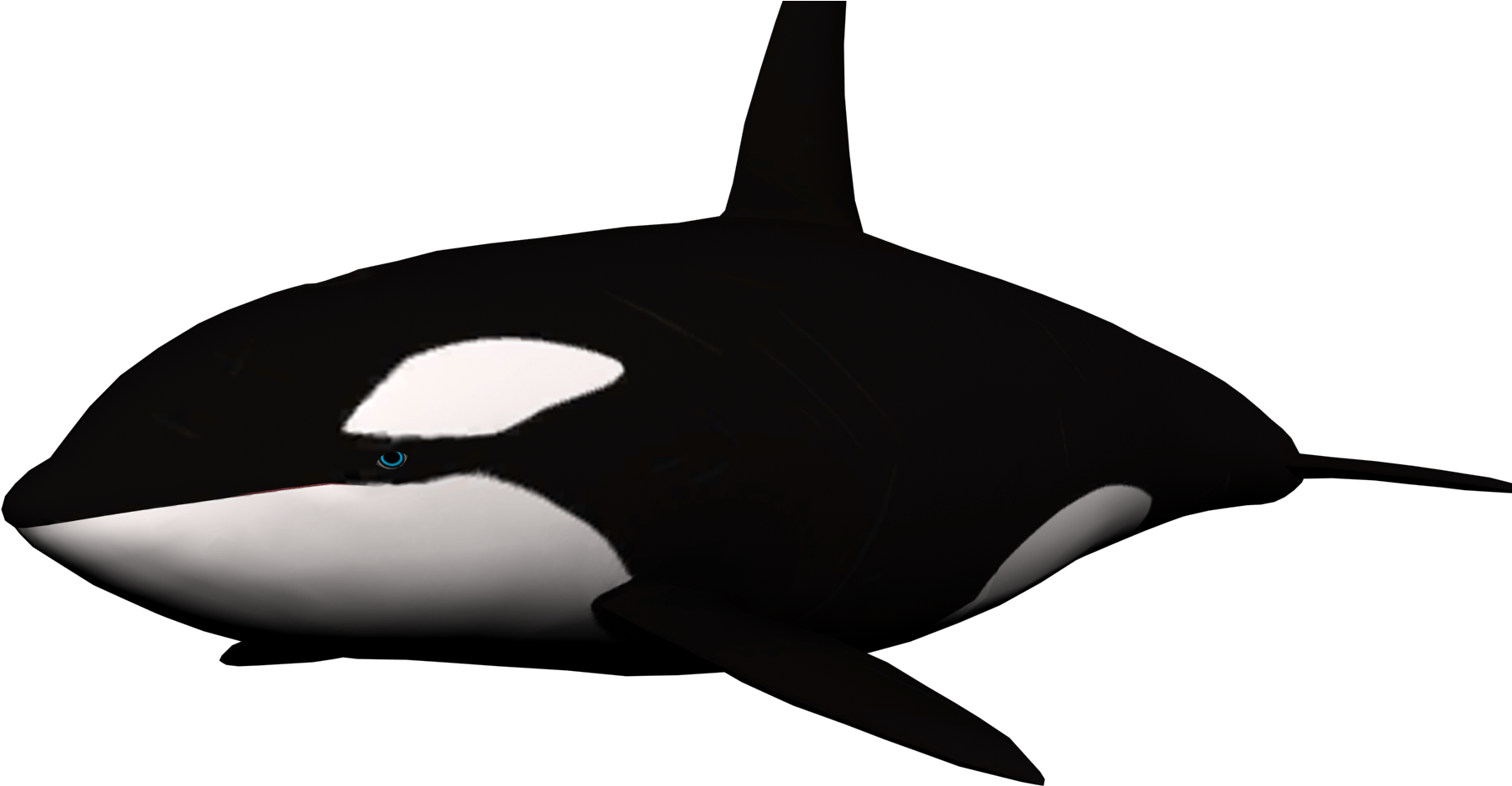 Black - Transparent Background Whale Png Clipart (1920x1080), Png Download