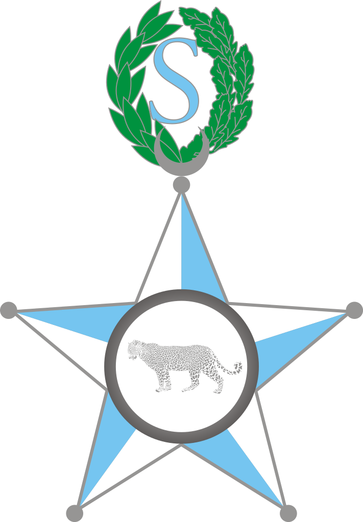 Order Of The Start Of Somalia Clipart (711x1023), Png Download