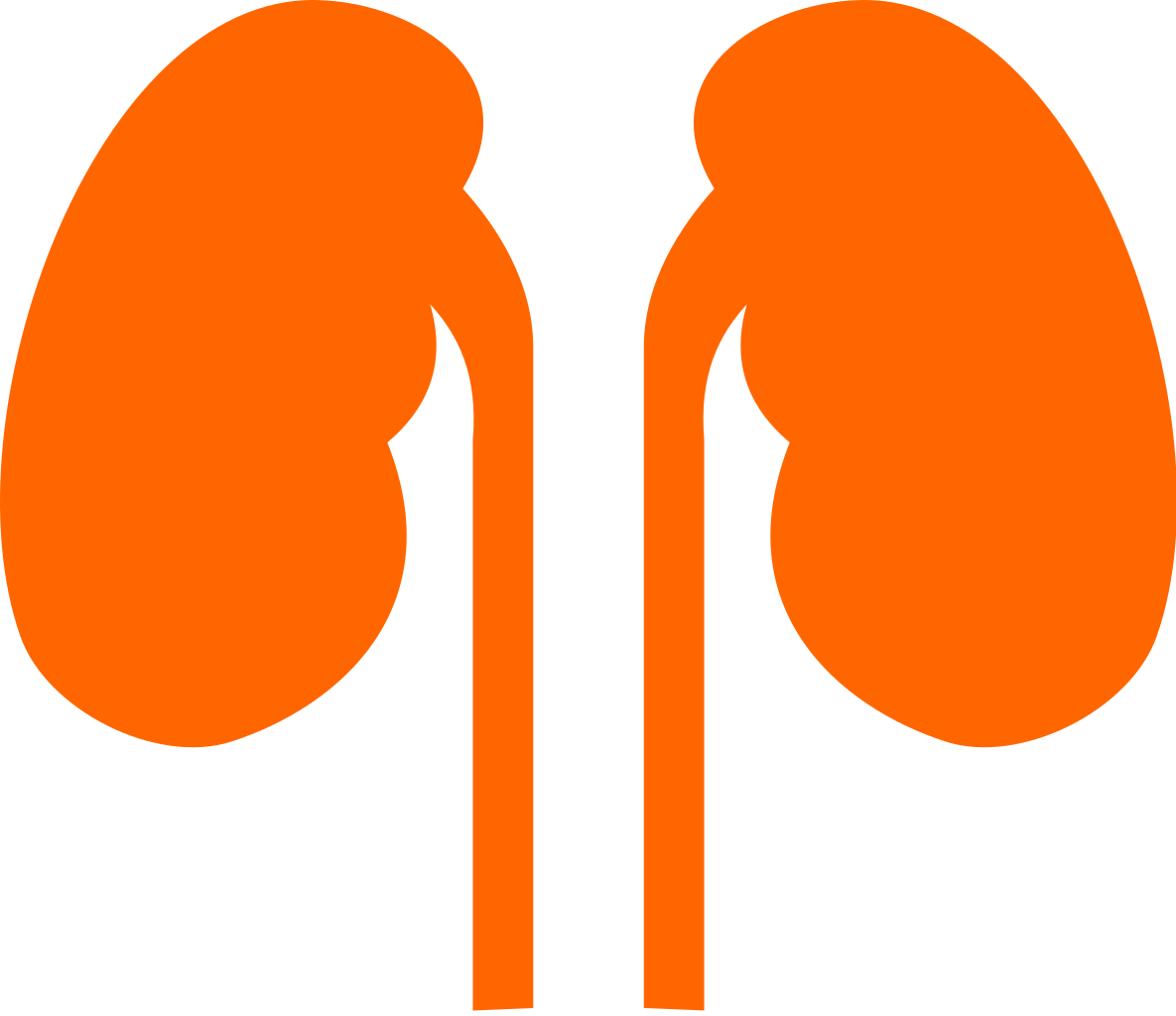 Kidneys Noun 524431 Cc Orange Orange Kidneys Clipart Full Size