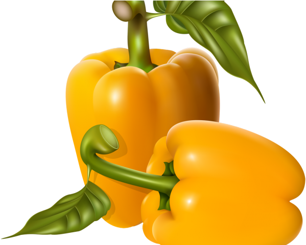 Pepper Clipart Fun Food - Bell Pepper - Png Download (640x480), Png Download