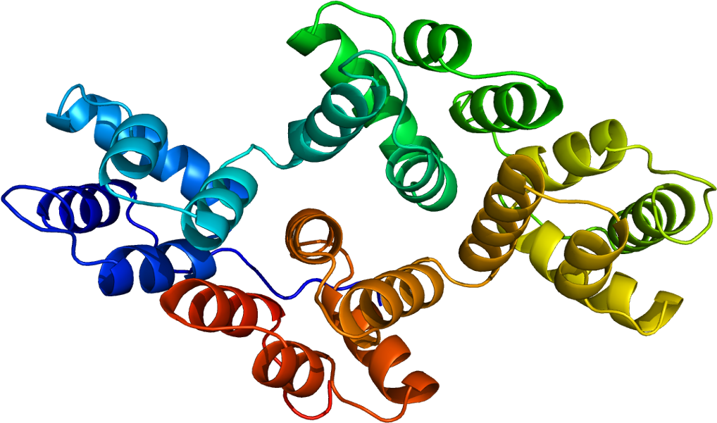 Annexin A2 Clipart (1067x650), Png Download