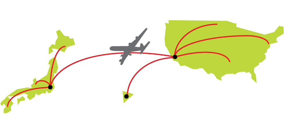 Deliver Next Day For Usa, Three Days To Japan - Illustration Clipart (1000x481), Png Download