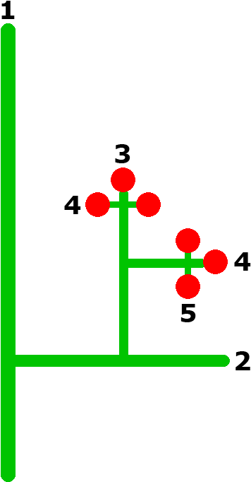 Flower With Stem Template - Plant Stem Clipart (654x807), Png Download