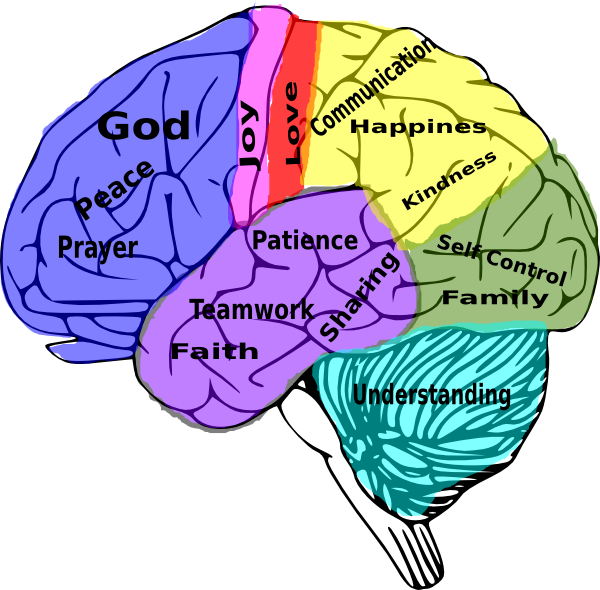 Human Brain And Social Media Clipart (600x590), Png Download