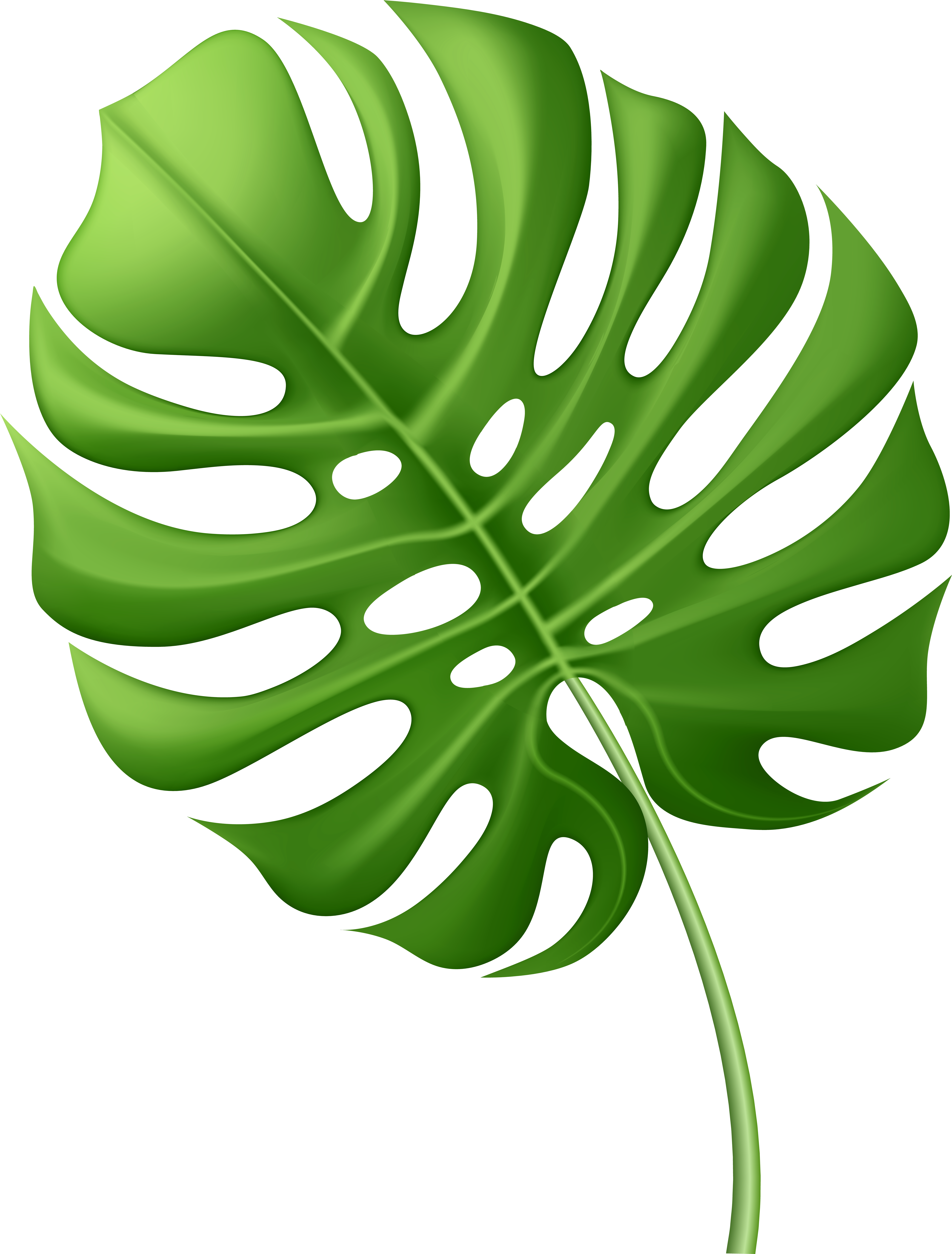 Full Clipart - Png Download (6176x8000), Png Download