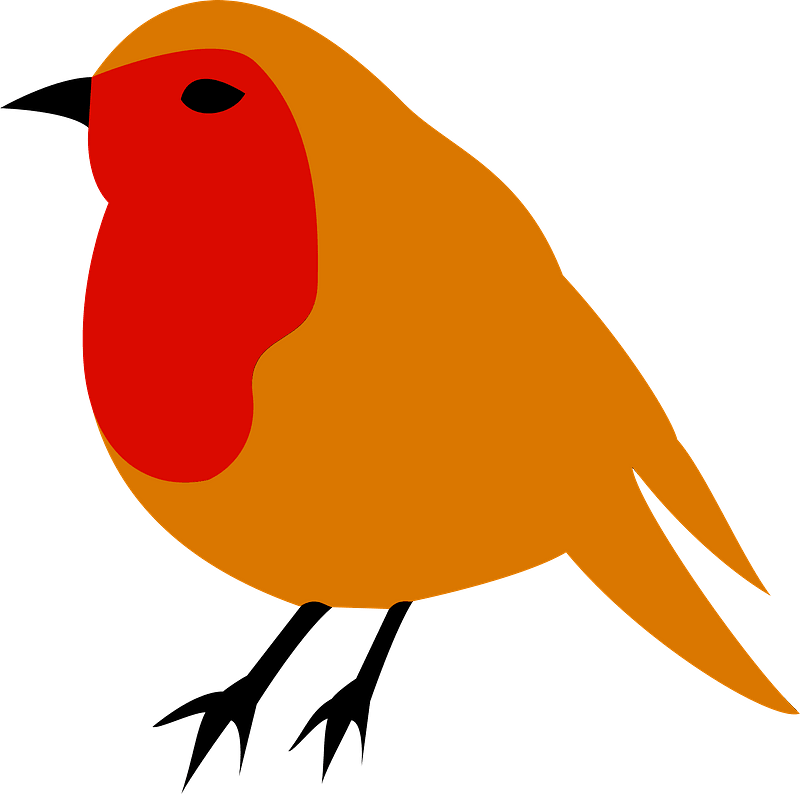 European Robin American Robin Bird Drawing Clip Art - Robin Clipart - Png Download (530x750), Png Download