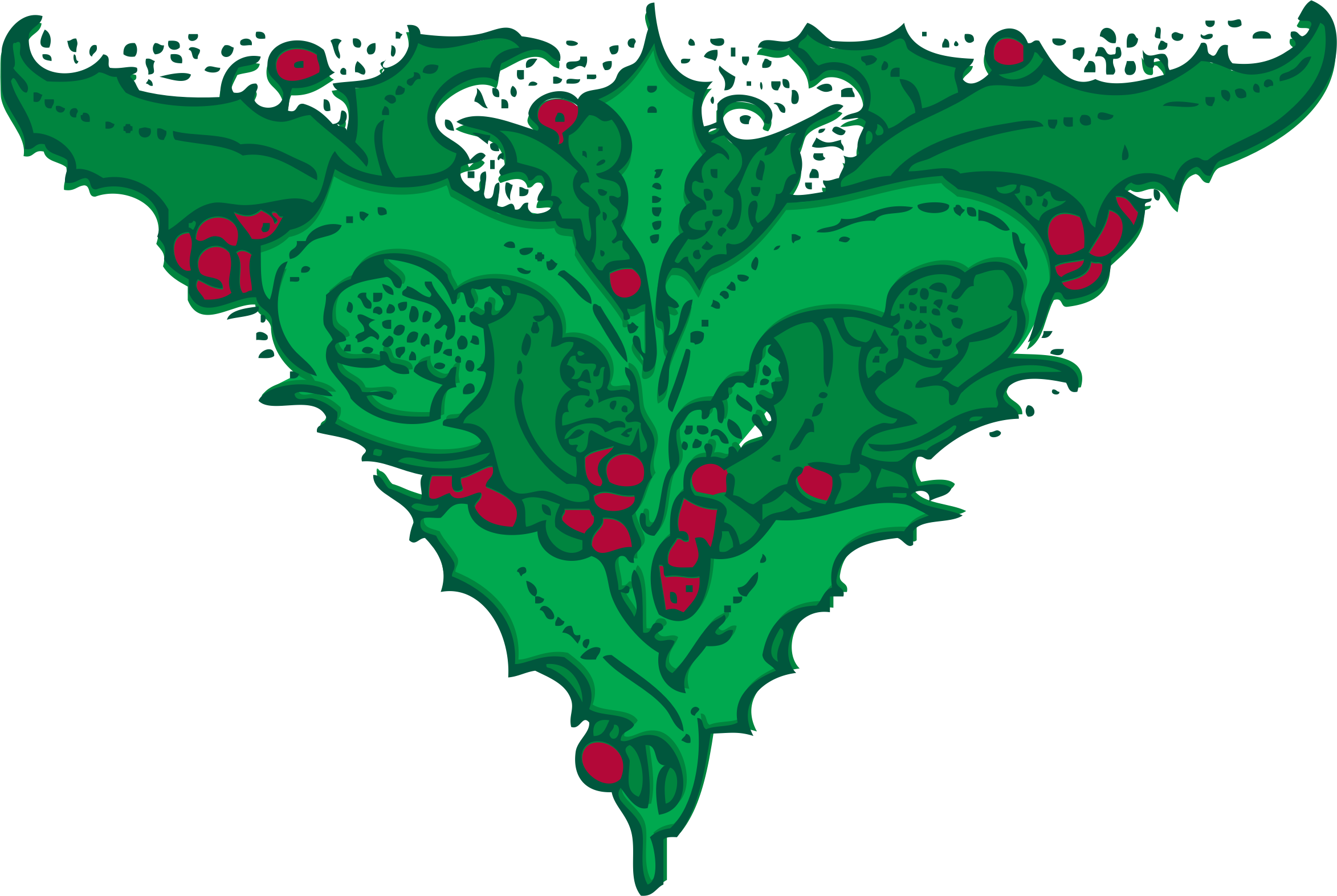 Vischio E Agrifoglio Illustrazione Png Clipart (800x537), Png Download