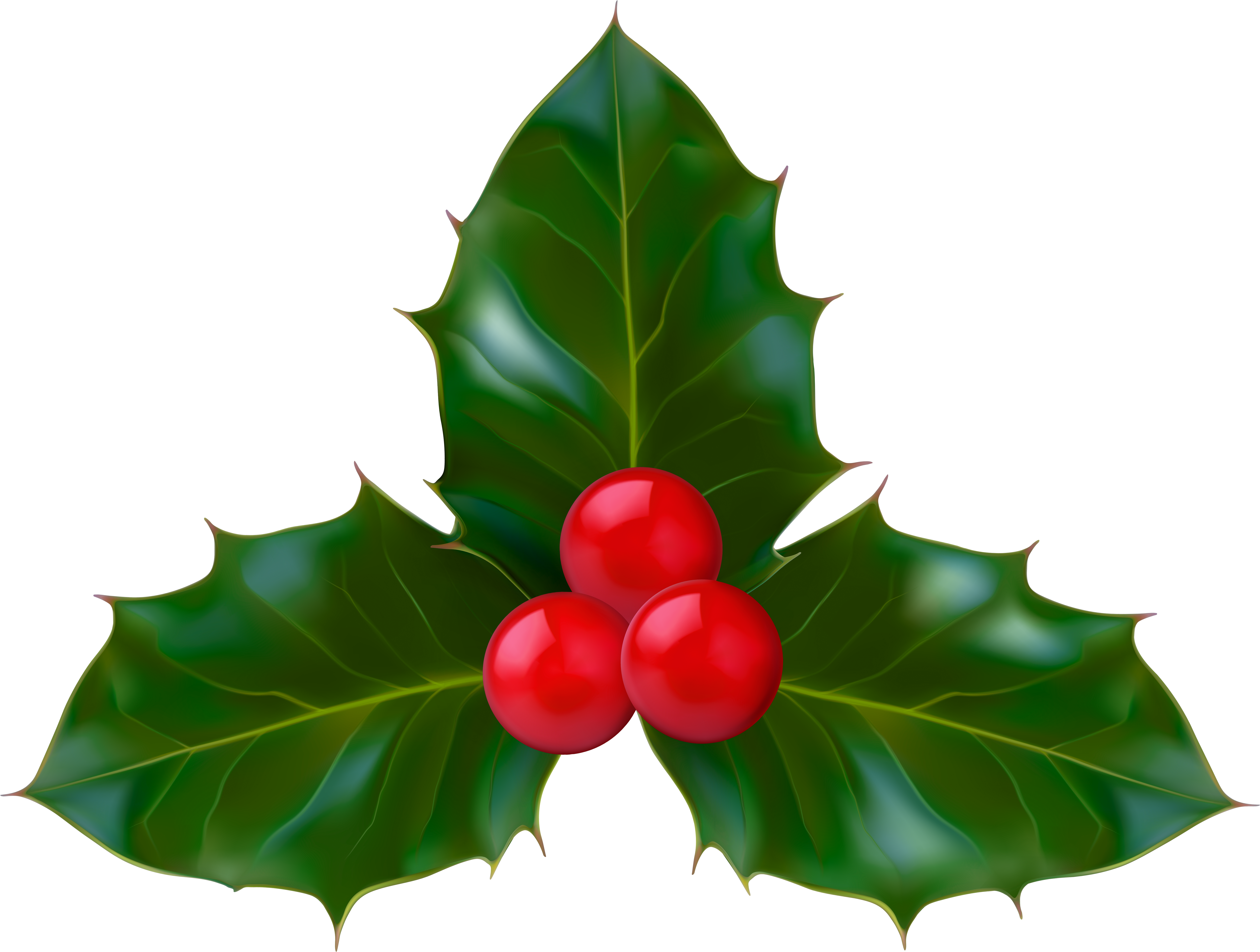 Clip Art - Png Download (6000x4555), Png Download