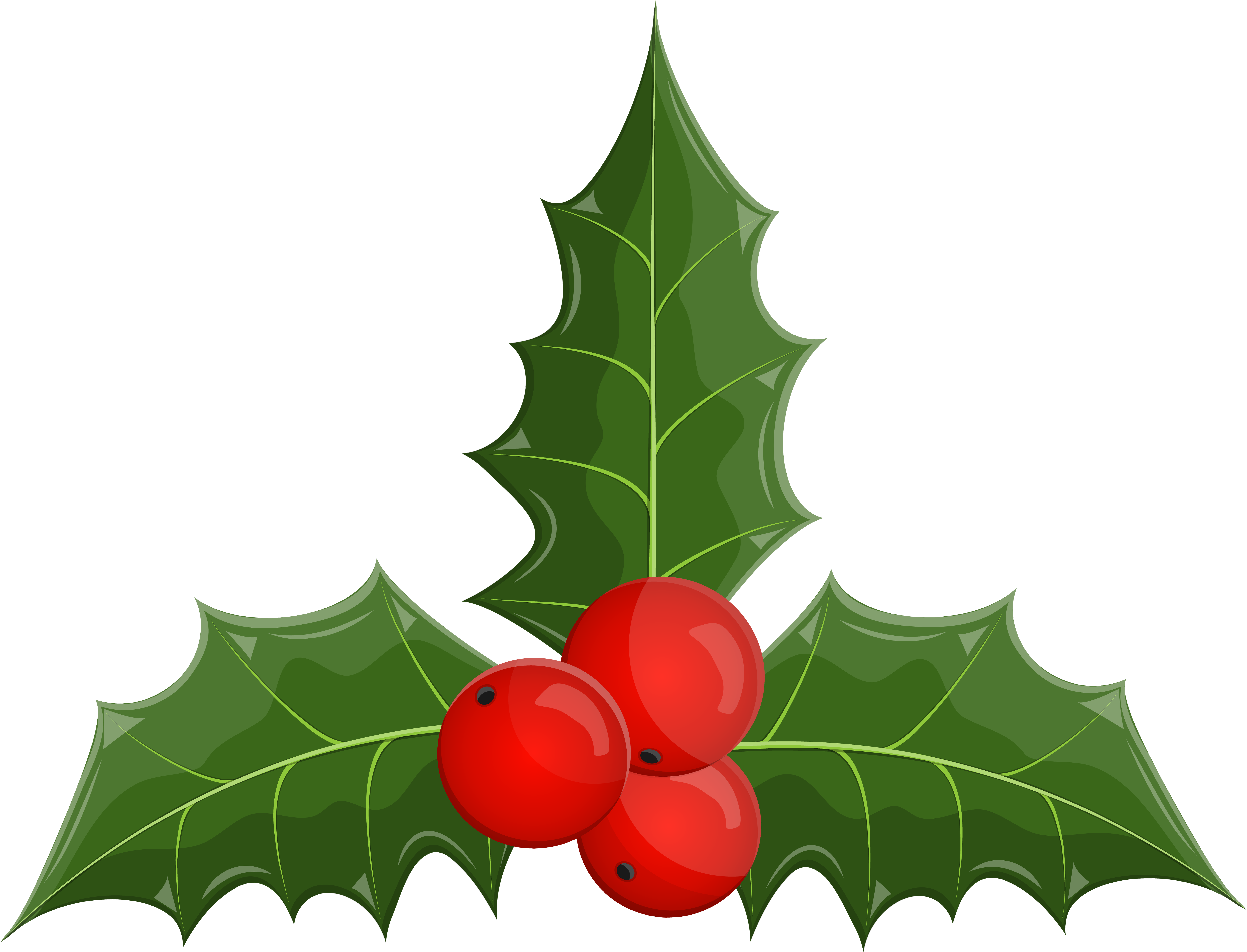 Holly Images Free Clip Art - Png Download (8000x6108), Png Download