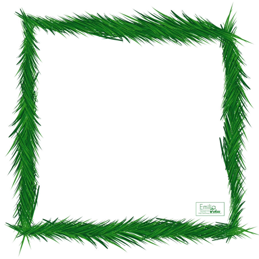 Clip Art Clipart Spruce Pine Clip Art Christmas - Clip Art - Png Download (900x900), Png Download