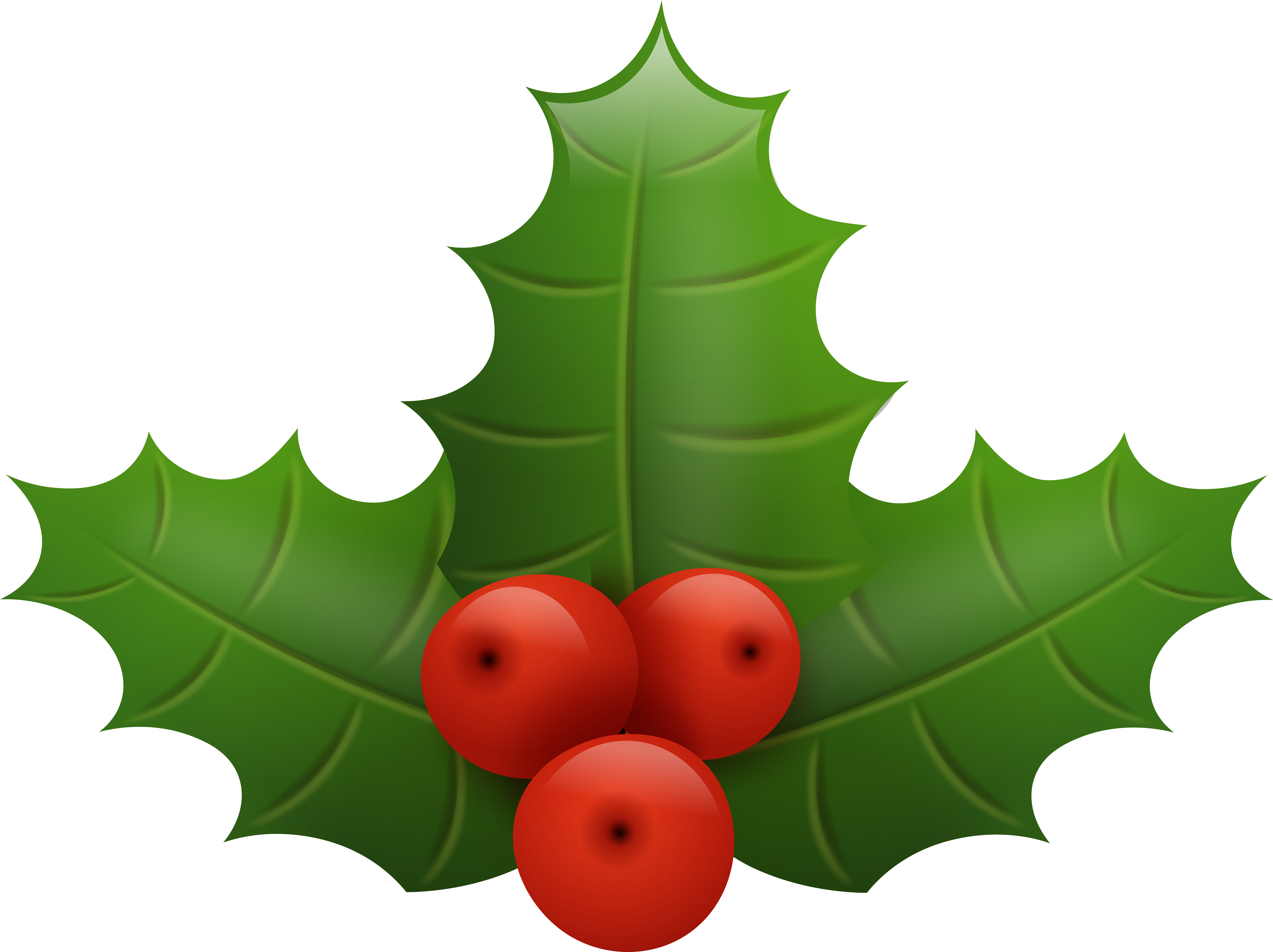 Holly Png Clipart Full Size Clipart 95036 Pinclipart
