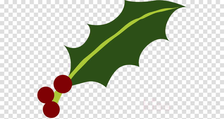 Download Holly Leaf Png Clipart Common Holly Yaupon - Veena Indian Musical Instruments Png Transparent Png (900x480), Png Download