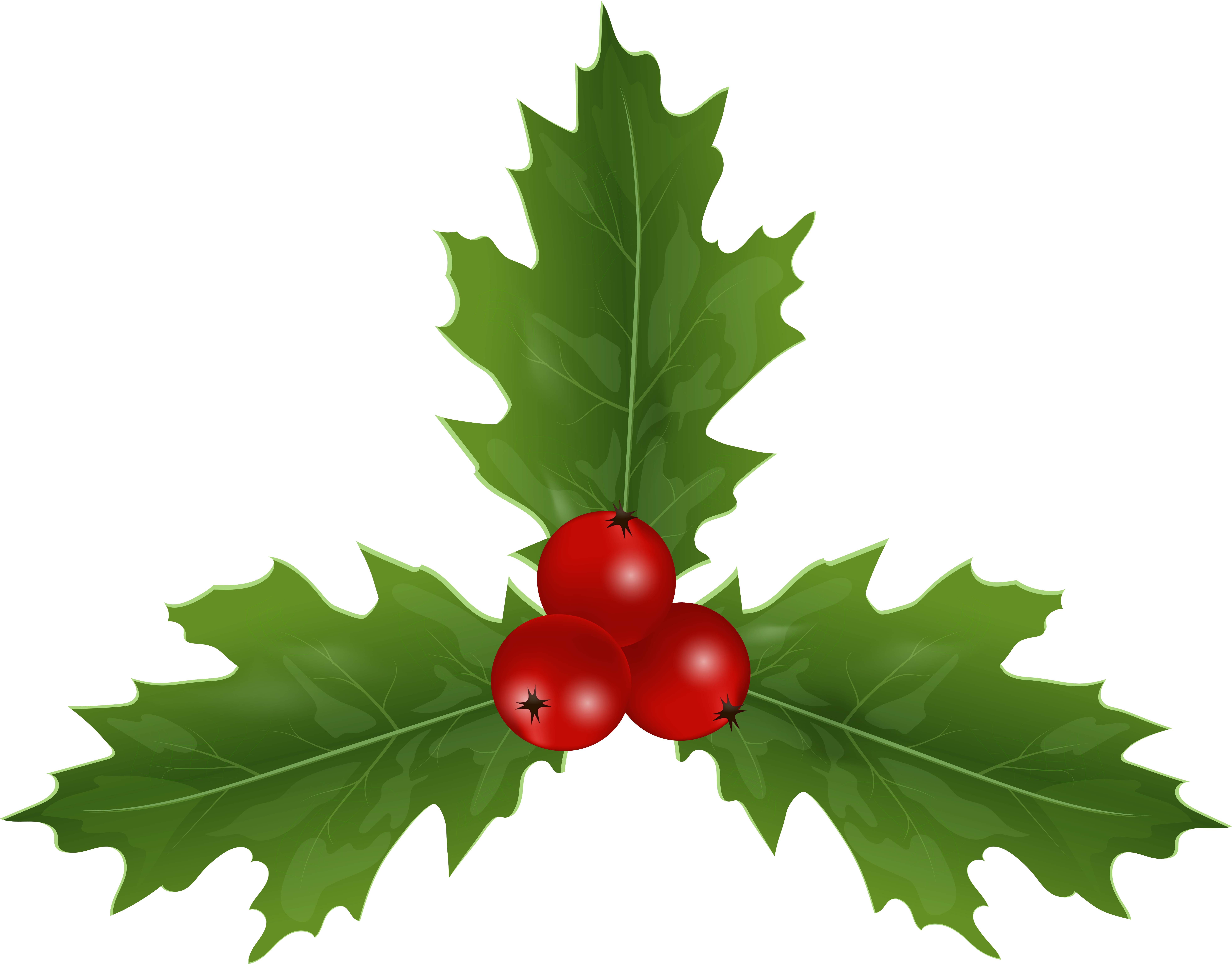 View Full Size Clipart (8000x6289), Png Download