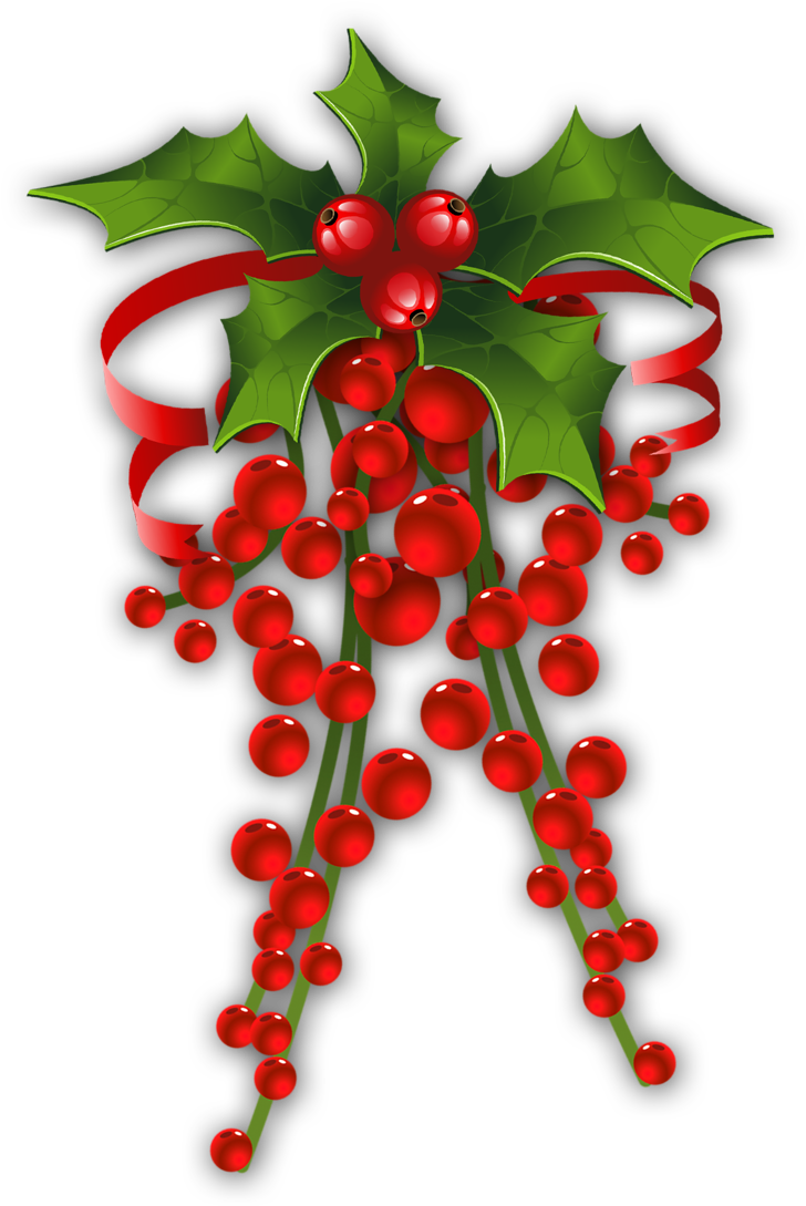 Gallery Yopriceville High Quality Images And View - Transparent Holly Clipart (752x1120), Png Download