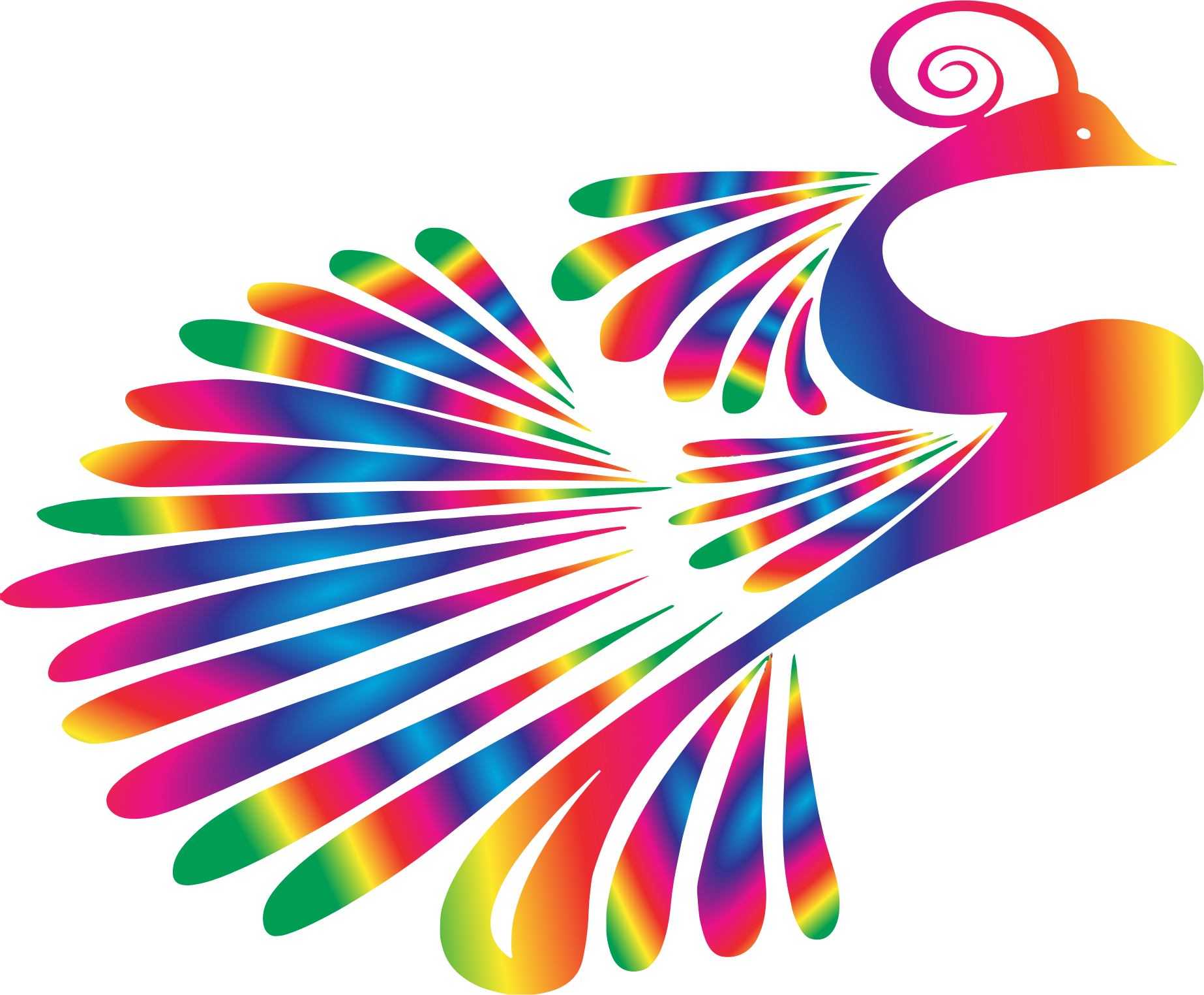 Peacock Clipart - Popeven Peacock Design Shower Curtain With Hooks - Png Download (1846x1524), Png Download